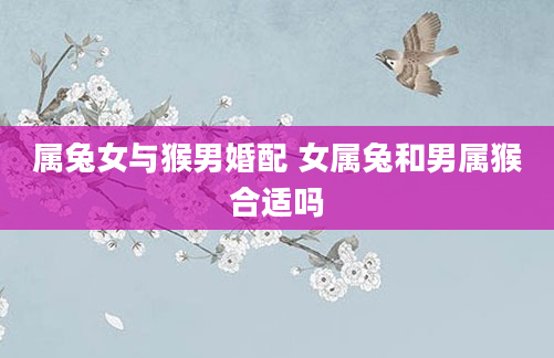 属兔女与猴男婚配 女属兔和男属猴合适吗