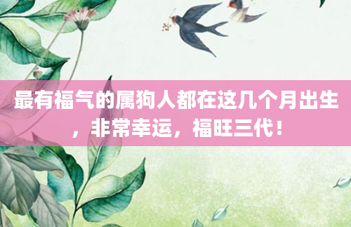 最有福气的属狗人都在这几个月出生，非常幸运，福旺三代！