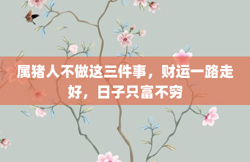 属猪人不做这三件事，财运一路走好，日子只富不穷
