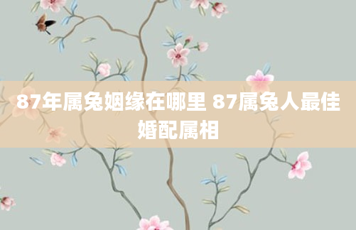 87年属兔姻缘在哪里 87属兔人最佳婚配属相