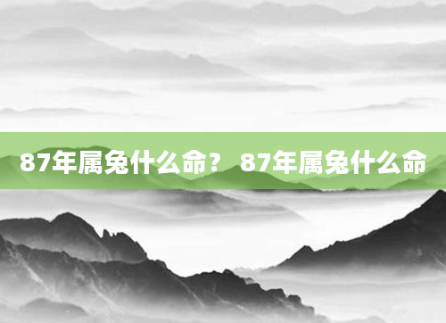87年属兔什么命？ 87年属兔什么命