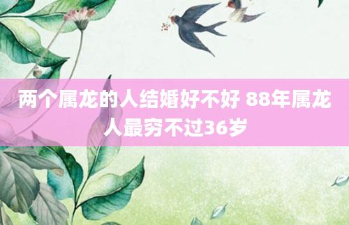 两个属龙的人结婚好不好 88年属龙人最穷不过36岁