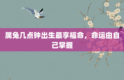 属兔几点钟出生最享福命，命运由自己掌握