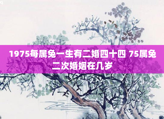 1975每属兔一生有二婚四十四 75属兔二次婚姻在几岁