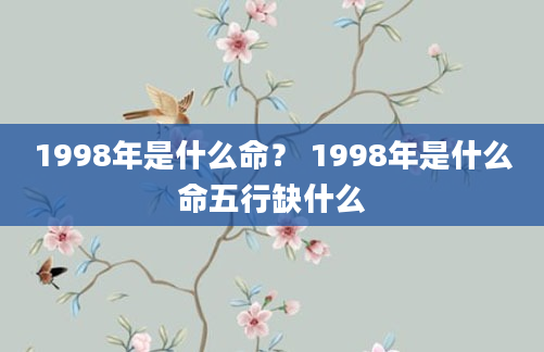 1998年是什么命？ 1998年是什么命五行缺什么