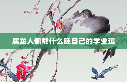 属龙人佩戴什么旺自己的学业运