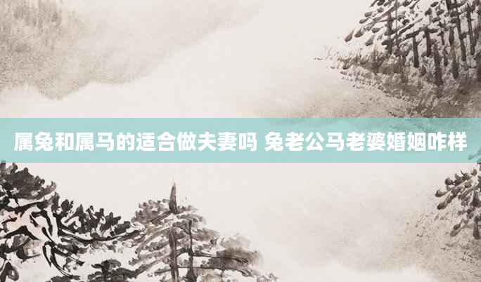 属兔和属马的适合做夫妻吗 兔老公马老婆婚姻咋样