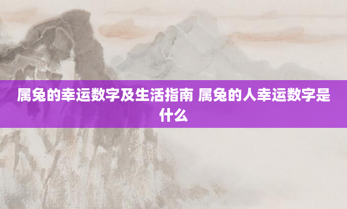 属兔的幸运数字及生活指南 属兔的人幸运数字是什么