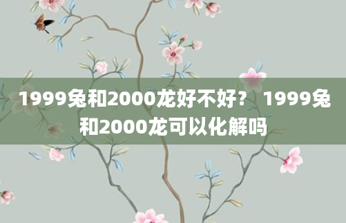 1999兔和2000龙好不好？ 1999兔和2000龙可以化解吗