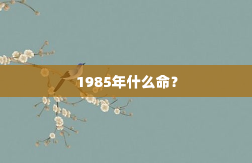 1985年什么命？