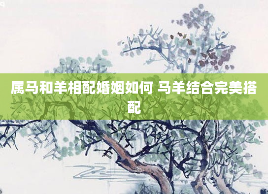 属马和羊相配婚姻如何 马羊结合完美搭配