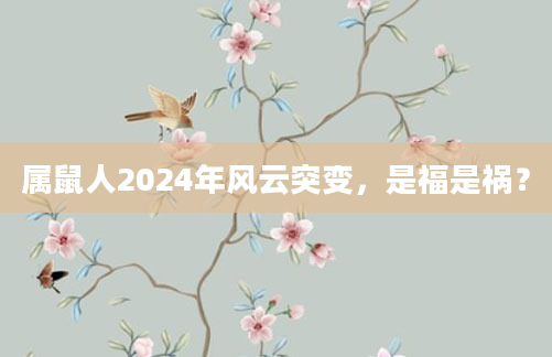 属鼠人2024年风云突变，是福是祸？