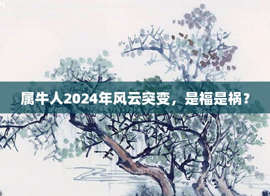 属牛人2024年风云突变，是福是祸？