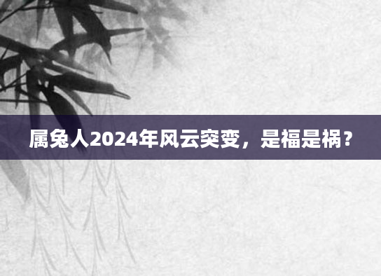 属兔人2024年风云突变，是福是祸？