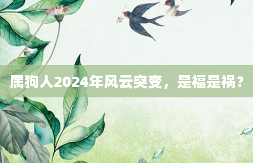 属狗人2024年风云突变，是福是祸？