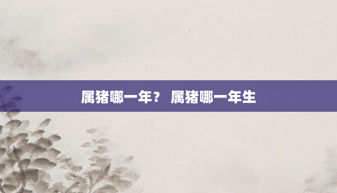 属猪哪一年？ 属猪哪一年生