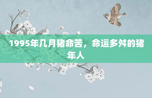 1995年几月猪命苦，命运多舛的猪年人
