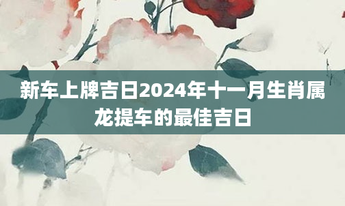 新车上牌吉日2024年十一月生肖属龙提车的最佳吉日