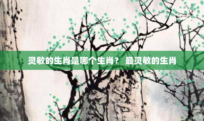 灵敏的生肖是哪个生肖？ 最灵敏的生肖