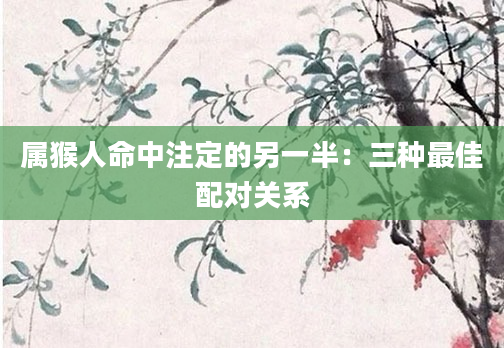 属猴人命中注定的另一半：三种最佳配对关系