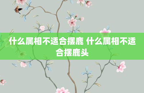 什么属相不适合摆鹿 什么属相不适合摆鹿头