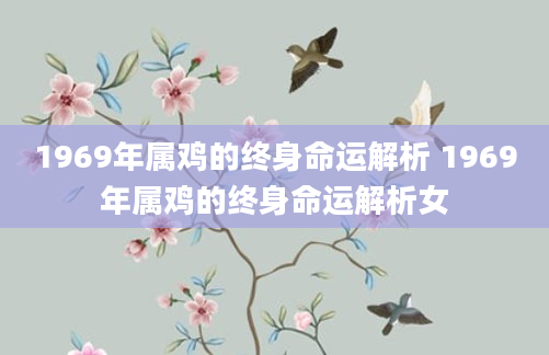 1969年属鸡的终身命运解析 1969年属鸡的终身命运解析女