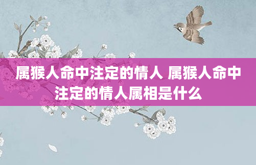 属猴人命中注定的情人 属猴人命中注定的情人属相是什么