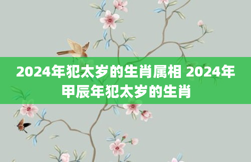 2024年犯太岁的生肖属相 2024年甲辰年犯太岁的生肖