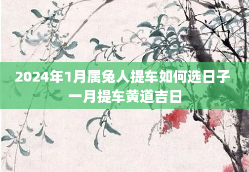 2024年1月属兔人提车如何选日子 一月提车黄道吉日