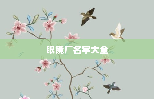 眼镜厂名字大全