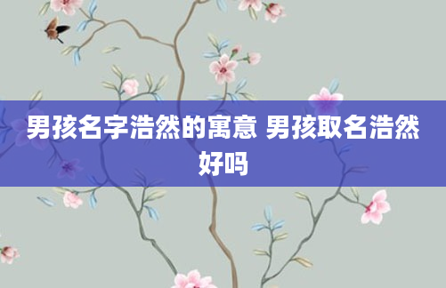 男孩名字浩然的寓意 男孩取名浩然好吗