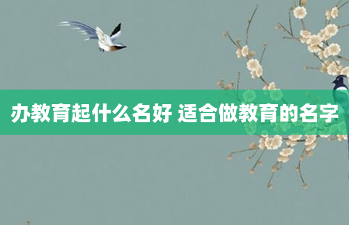 办教育起什么名好 适合做教育的名字