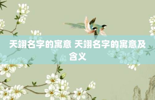 天翊名字的寓意 天翊名字的寓意及含义