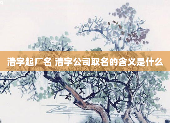 浩字起厂名 浩字公司取名的含义是什么