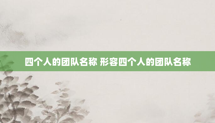 四个人的团队名称 形容四个人的团队名称