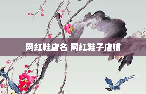 网红鞋店名 网红鞋子店铺