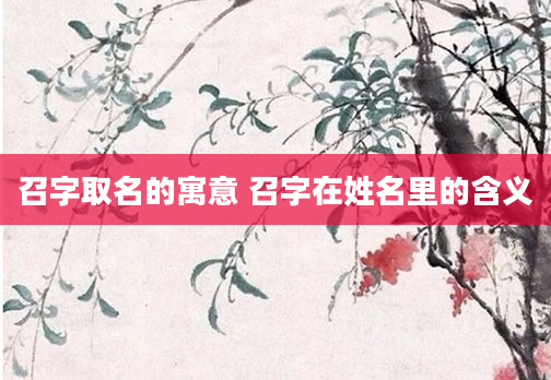 召字取名的寓意 召字在姓名里的含义