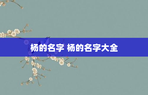 杨的名字 杨的名字大全