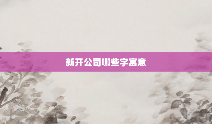 新开公司哪些字寓意