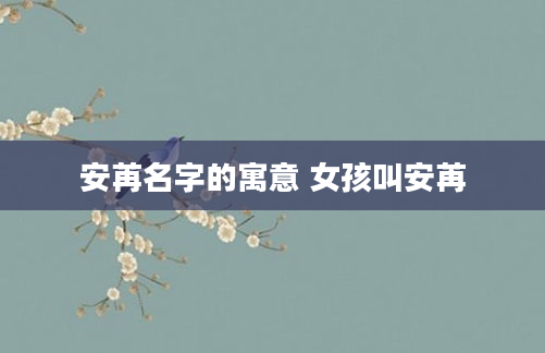 安苒名字的寓意 女孩叫安苒