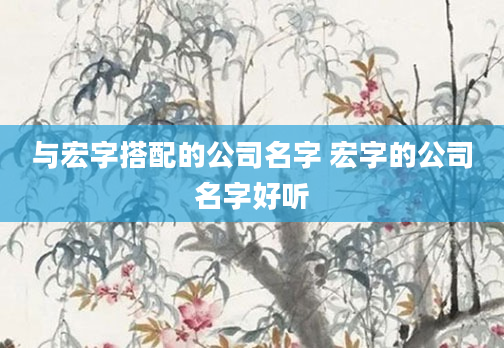 与宏字搭配的公司名字 宏字的公司名字好听
