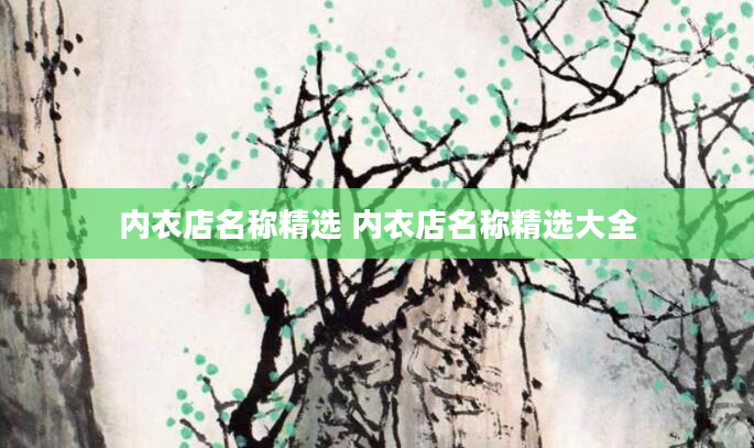 内衣店名称精选 内衣店名称精选大全