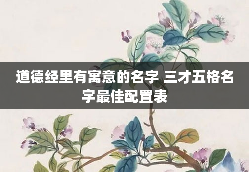 道德经里有寓意的名字 三才五格名字最佳配置表