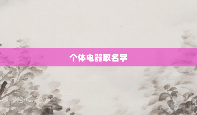 个体电器取名字