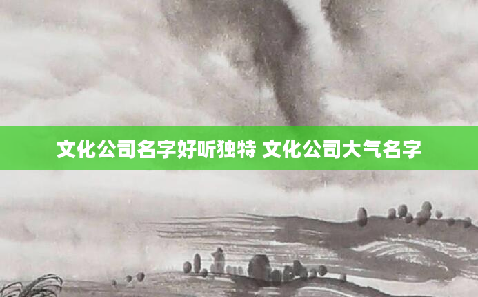 文化公司名字好听独特 文化公司大气名字