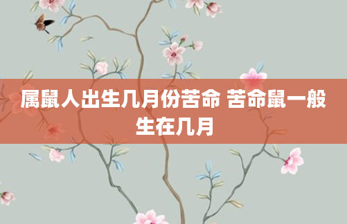 属鼠人出生几月份苦命 苦命鼠一般生在几月