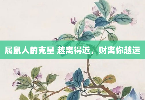 属鼠人的克星 越离得近，财离你越远