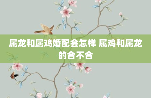 属龙和属鸡婚配会怎样 属鸡和属龙的合不合