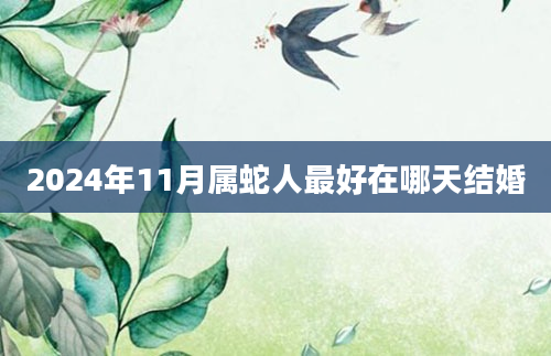 2024年11月属蛇人最好在哪天结婚