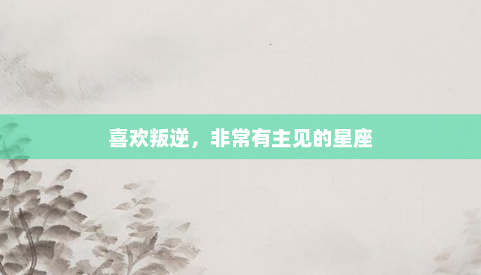 喜欢叛逆，非常有主见的星座